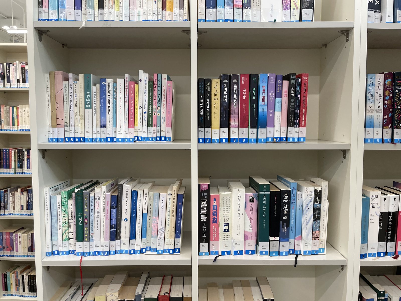 원거리에서 촬영한 서가 — 라벨 글자가 매우 작게 찍힘